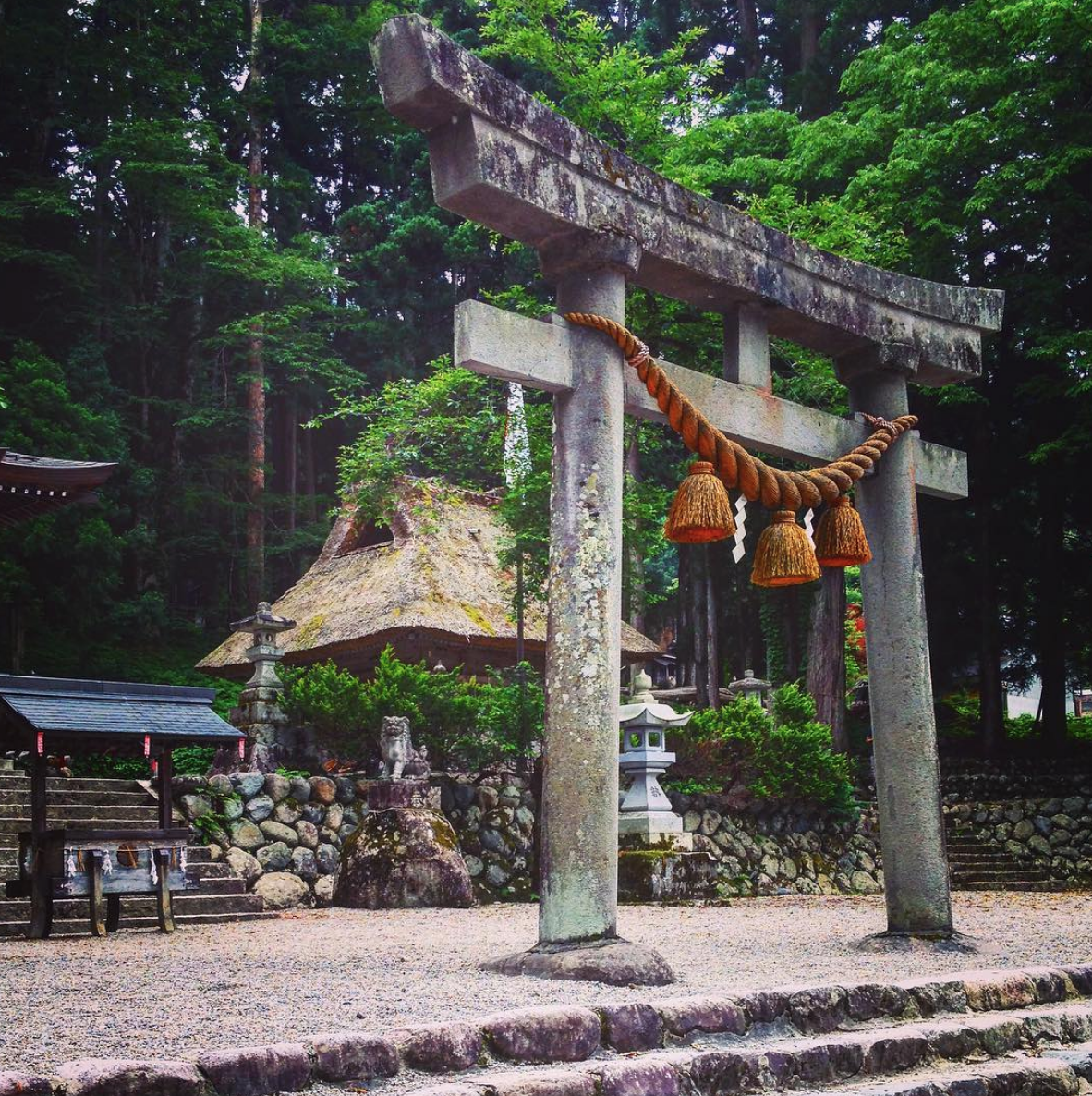 Captura de pantalla 2019-02-09 a las 6.08.25 p.m.