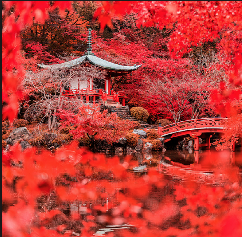 Captura de pantalla 2019-02-09 a las 6.10.33 p.m.