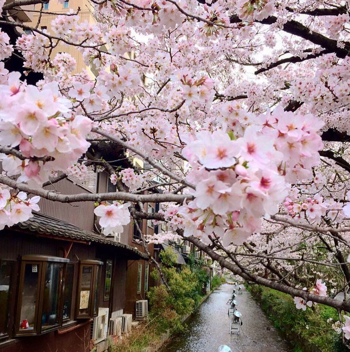 Captura de pantalla 2019-02-09 a las 6.15.49 p.m.